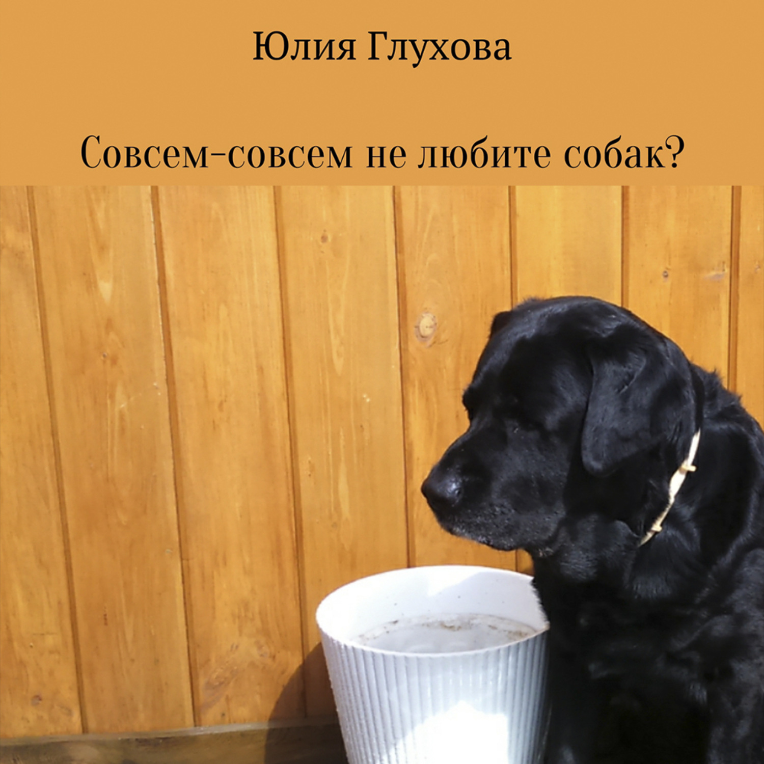 Обложка книги «Совсем-совсем не любите собак?»