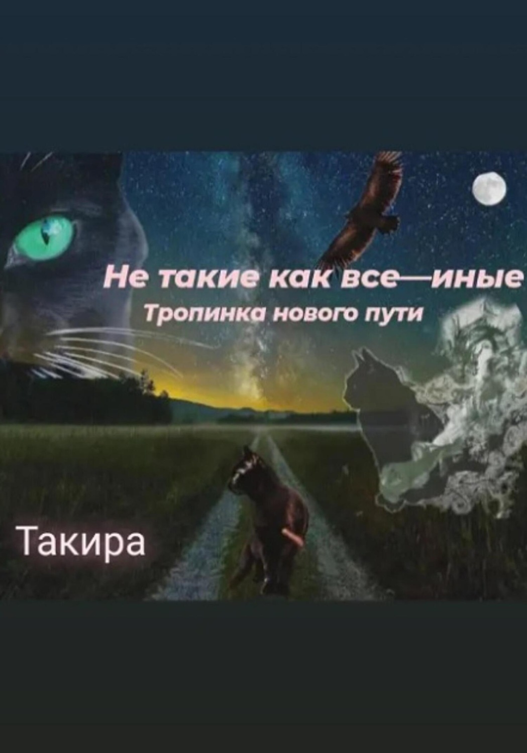 Обложка книги «Не такие, как все – иные. Тропинка нового пути»