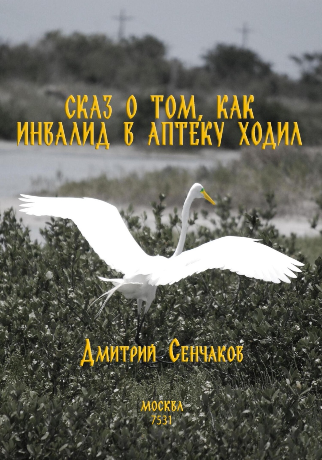 Обложка книги «Сказ о том, как инвалид в аптеку ходил»
