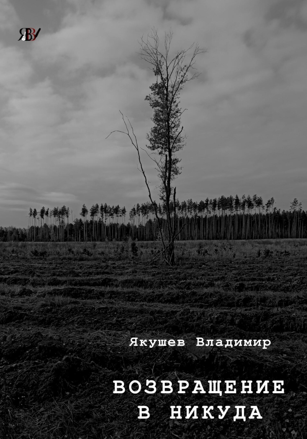 Обложка книги «Возвращение в никуда»