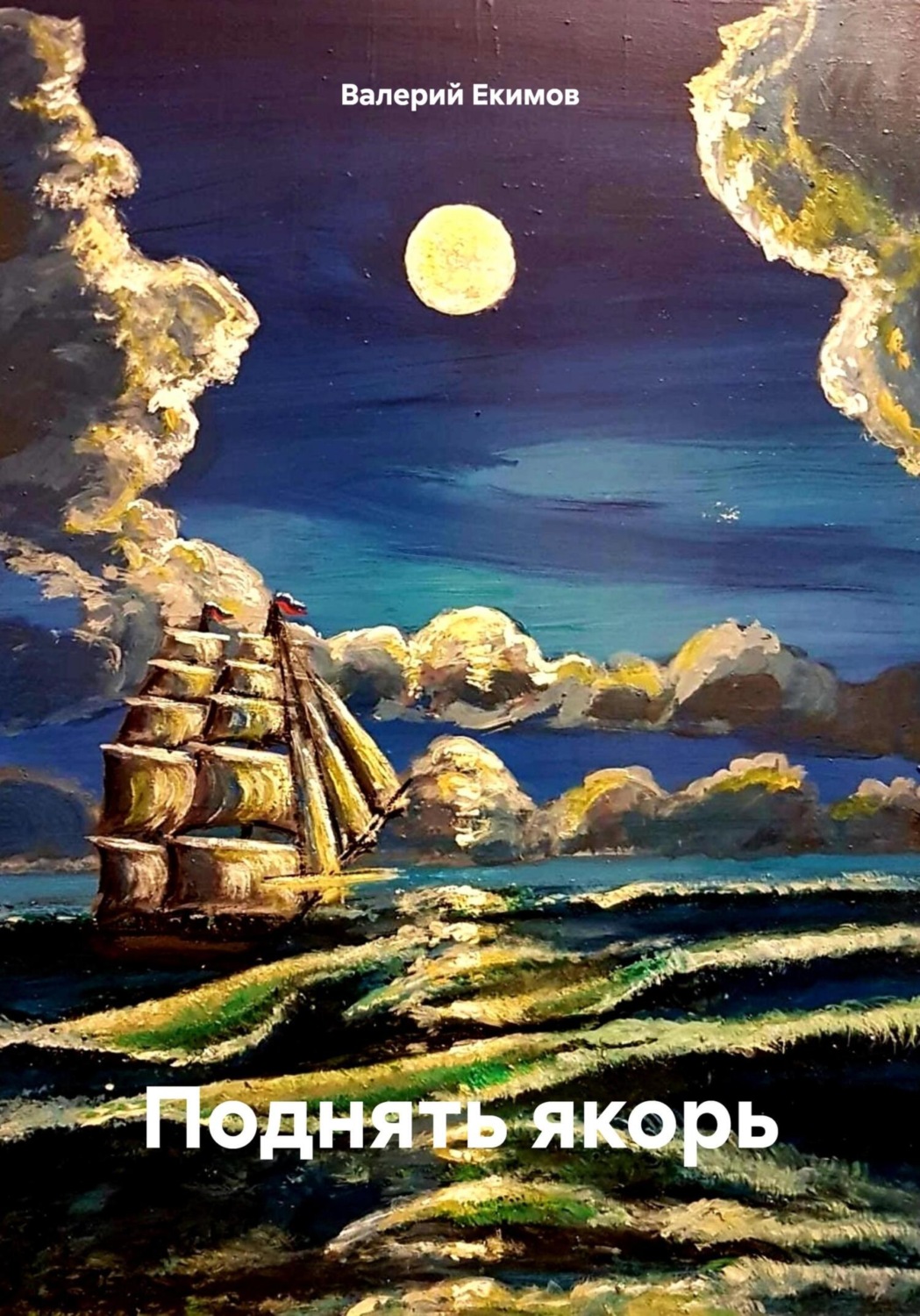 Обложка книги «Поднять якорь»