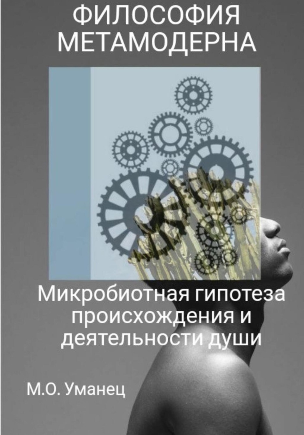 Обложка книги «Микробиотная гипотеза происхождения и деятельности души»