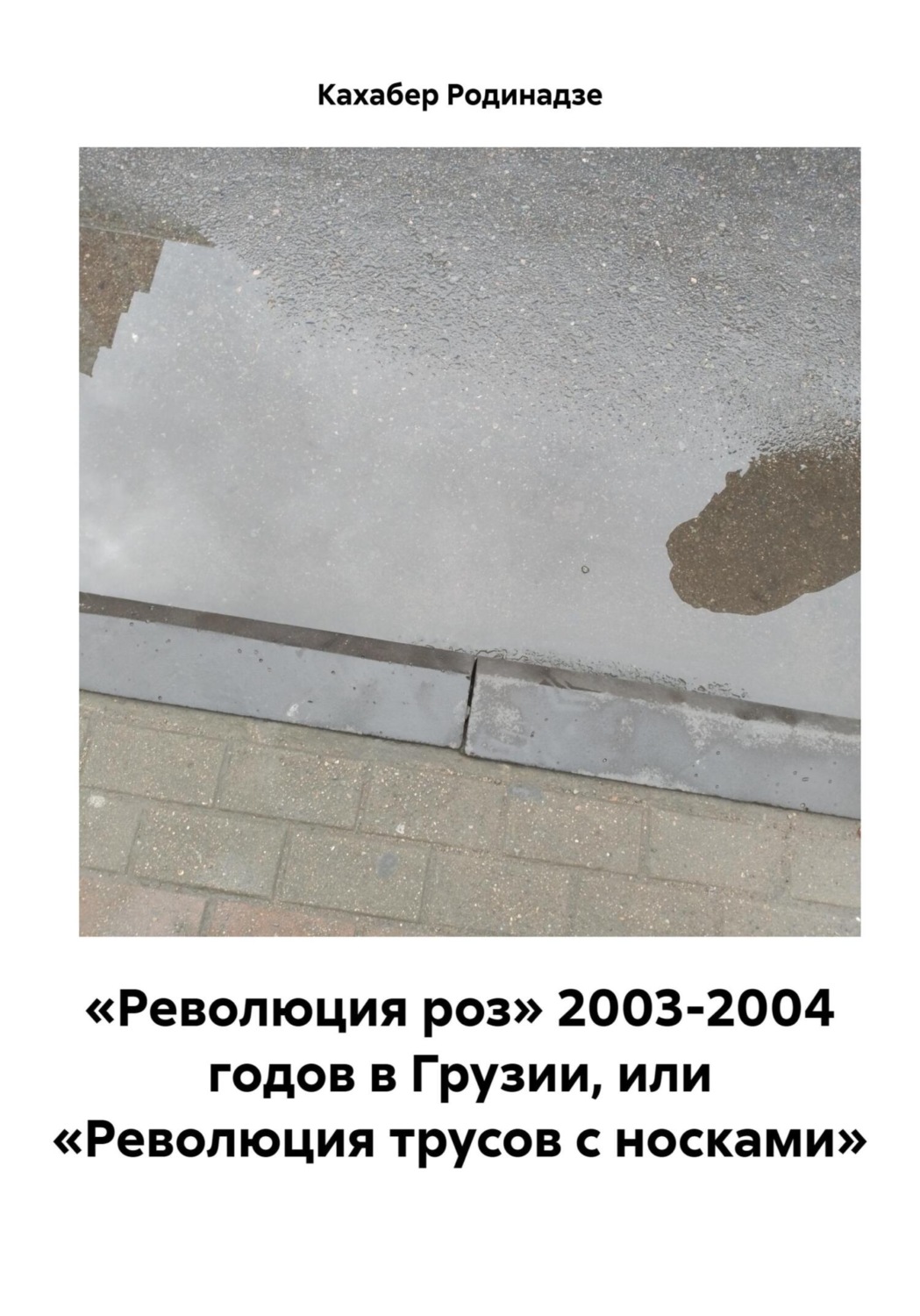 Обложка книги ««Революция роз» 2003-2004 годов в Грузии, или «Революция трусов с носками»»