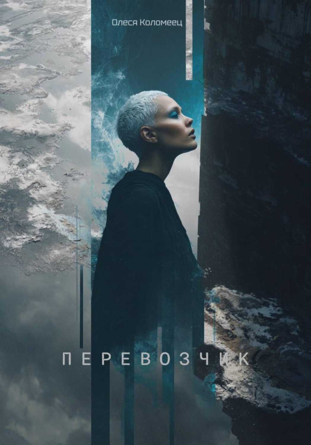 Обложка книги «Перевозчик»
