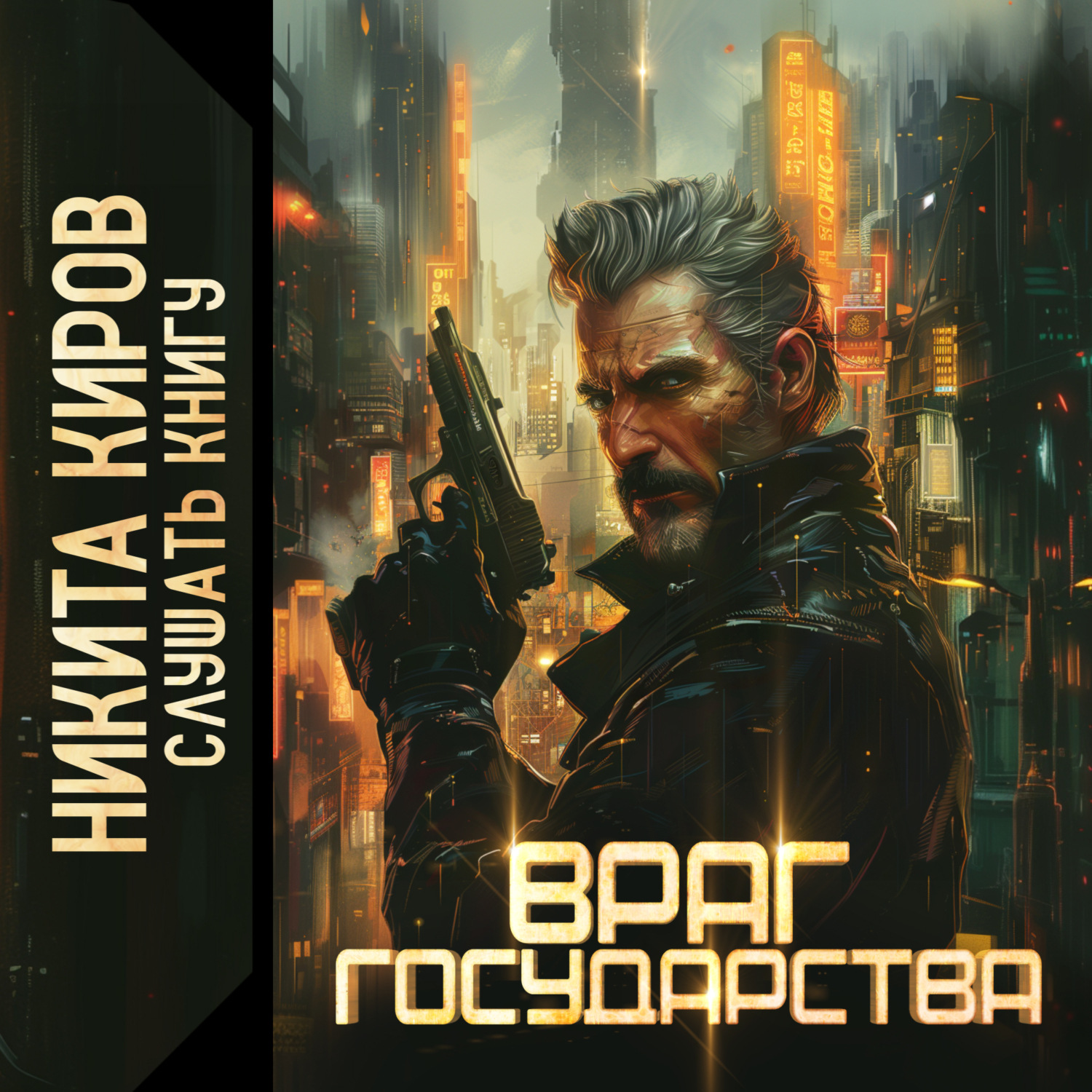 Обложка книги «Враг государства»