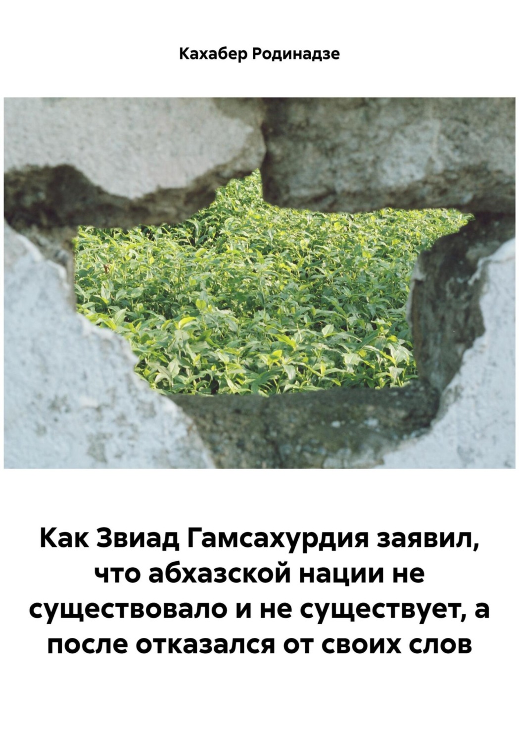 Обложка книги «Как Звиад Гамсахурдия заявил, что абхазской нации не существовало и не существует, а после отказался от своих слов»