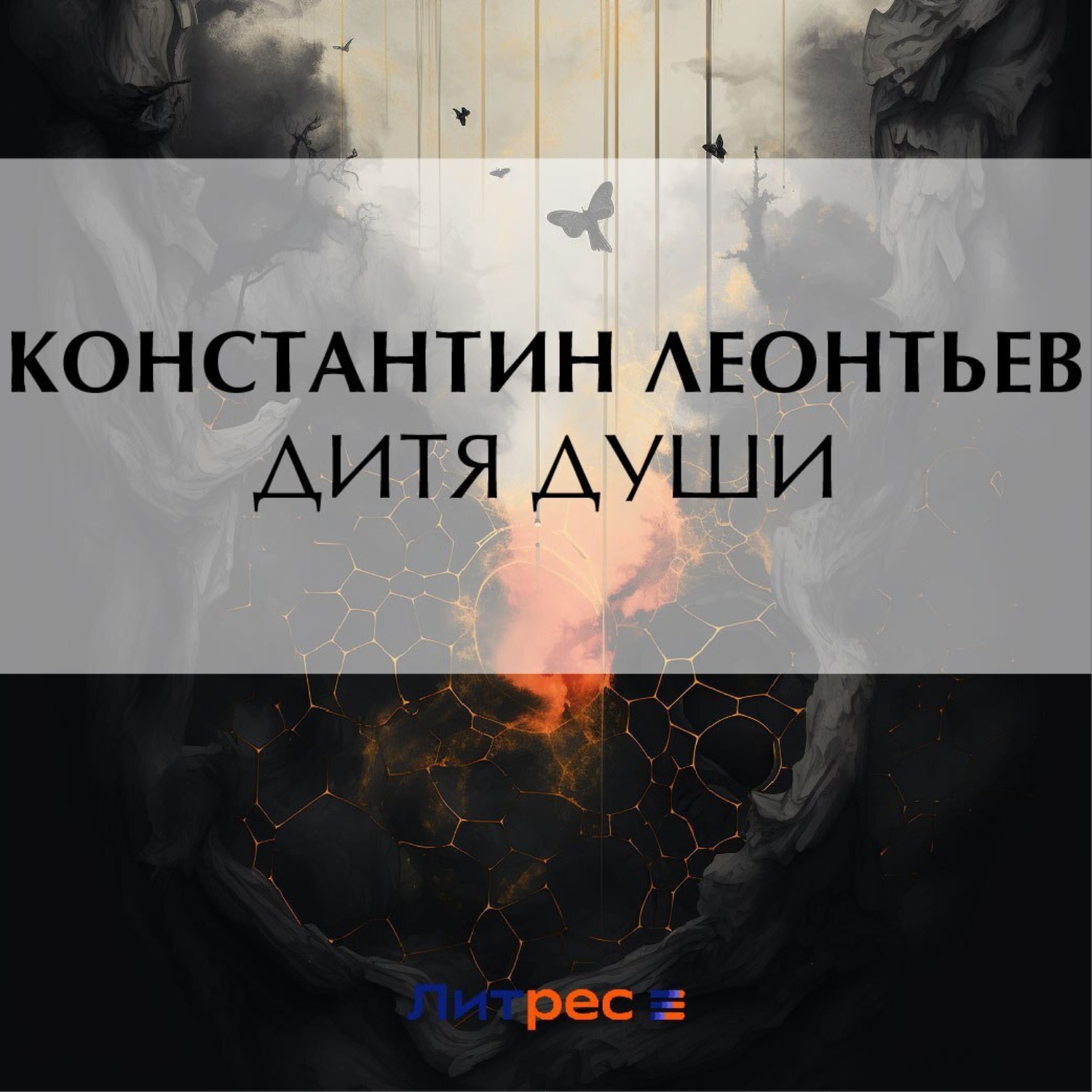 Обложка книги «Дитя души»