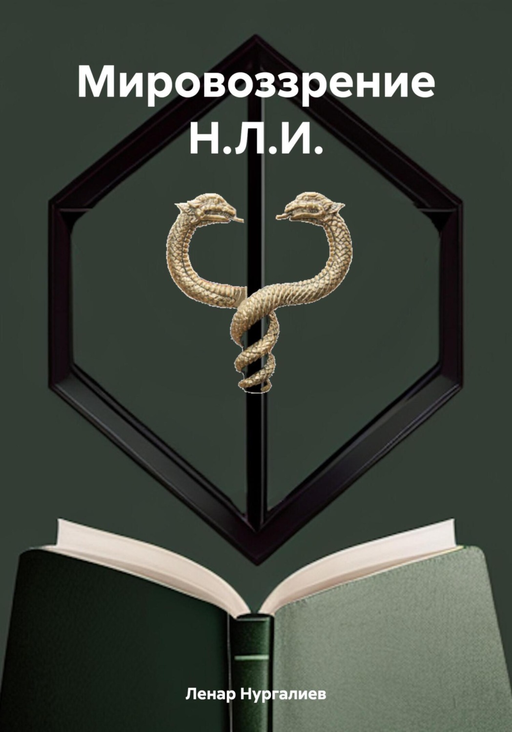 Обложка книги «Мировоззрение Н.Л.И.»