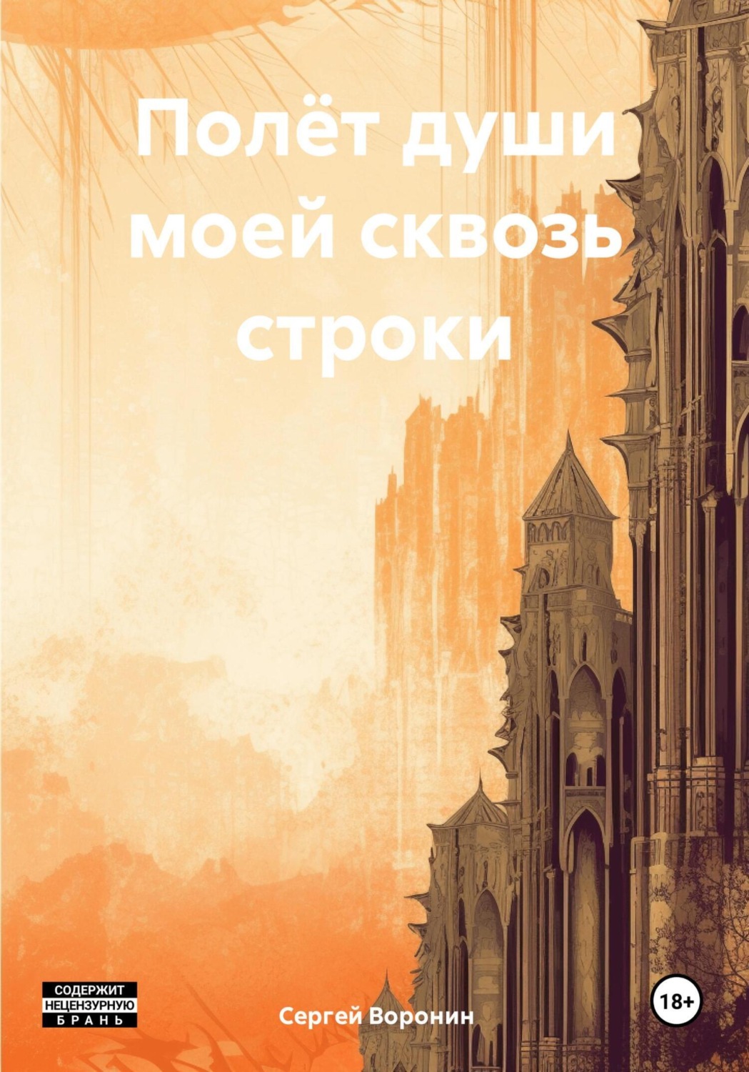 Обложка книги «Полёт души моей сквозь строки»