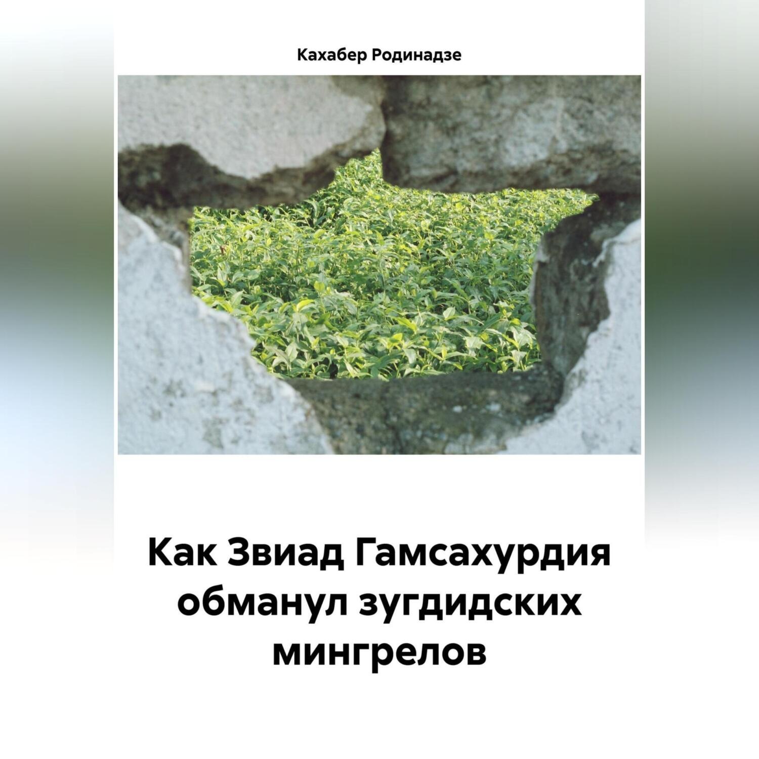 Обложка книги «Как Звиад Гамсахурдия обманул зугдидских мингрелов»