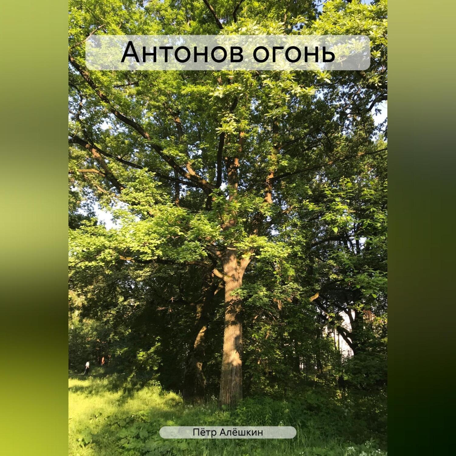 Обложка книги «Антонов огонь»