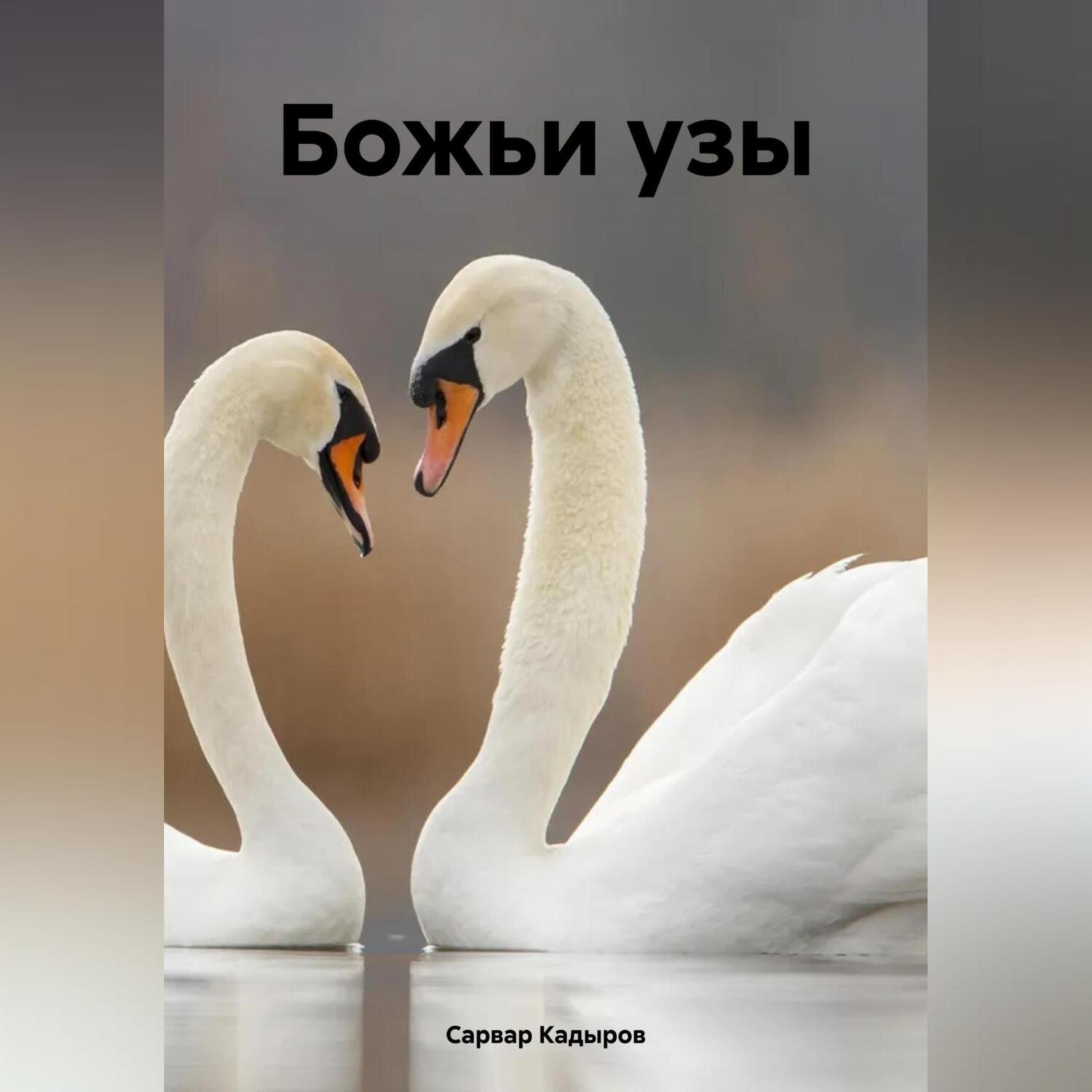 Обложка книги «Божьи узы»