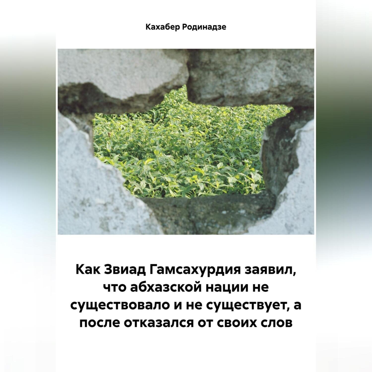 Обложка книги «Как Звиад Гамсахурдия заявил, что абхазской нации не существовало и не существует, а после отказался от своих слов»