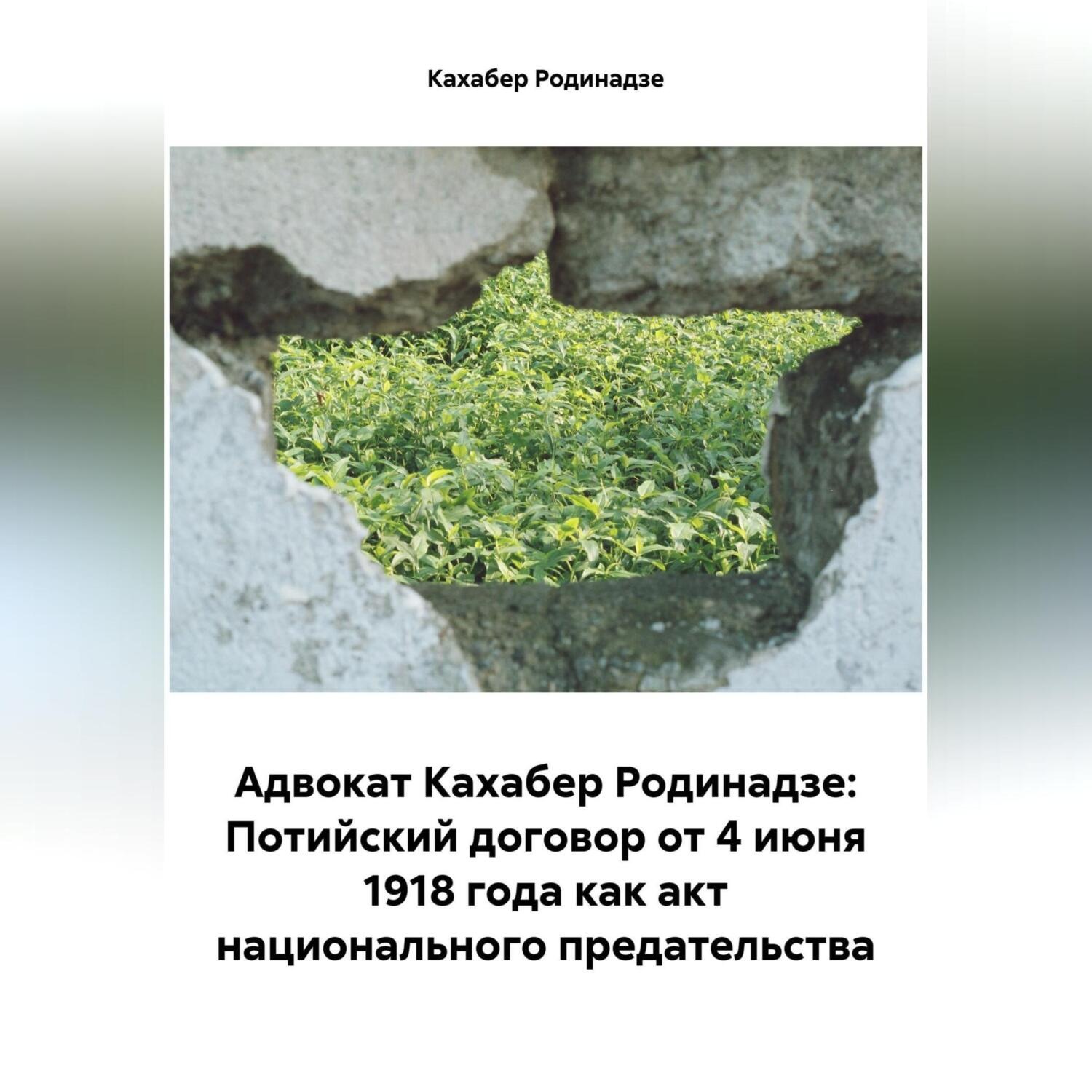 Обложка книги «Адвокат Кахабер Родинадзе: Потийский договор от 4 июня 1918 года как акт национального предательства»