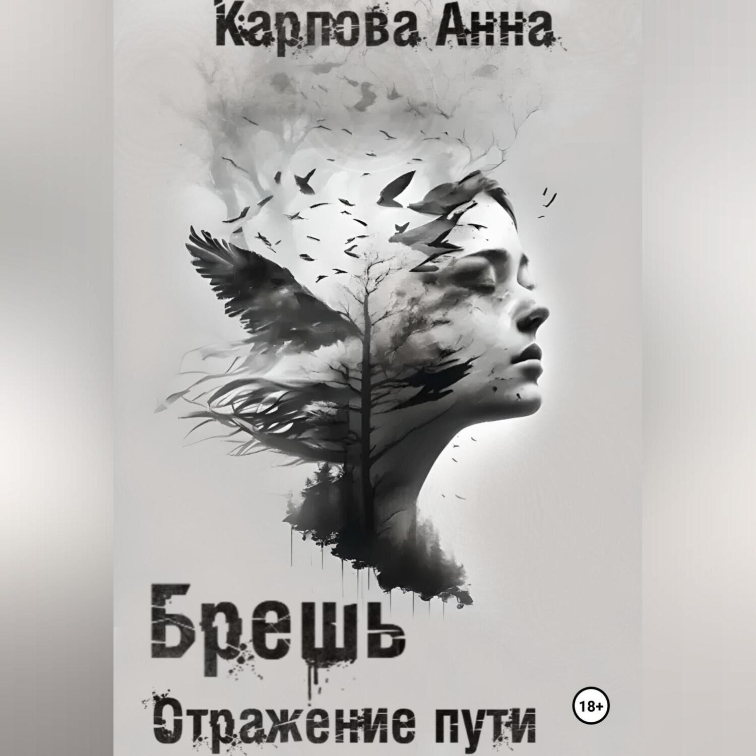 Обложка книги «Брешь. Отражение пути»