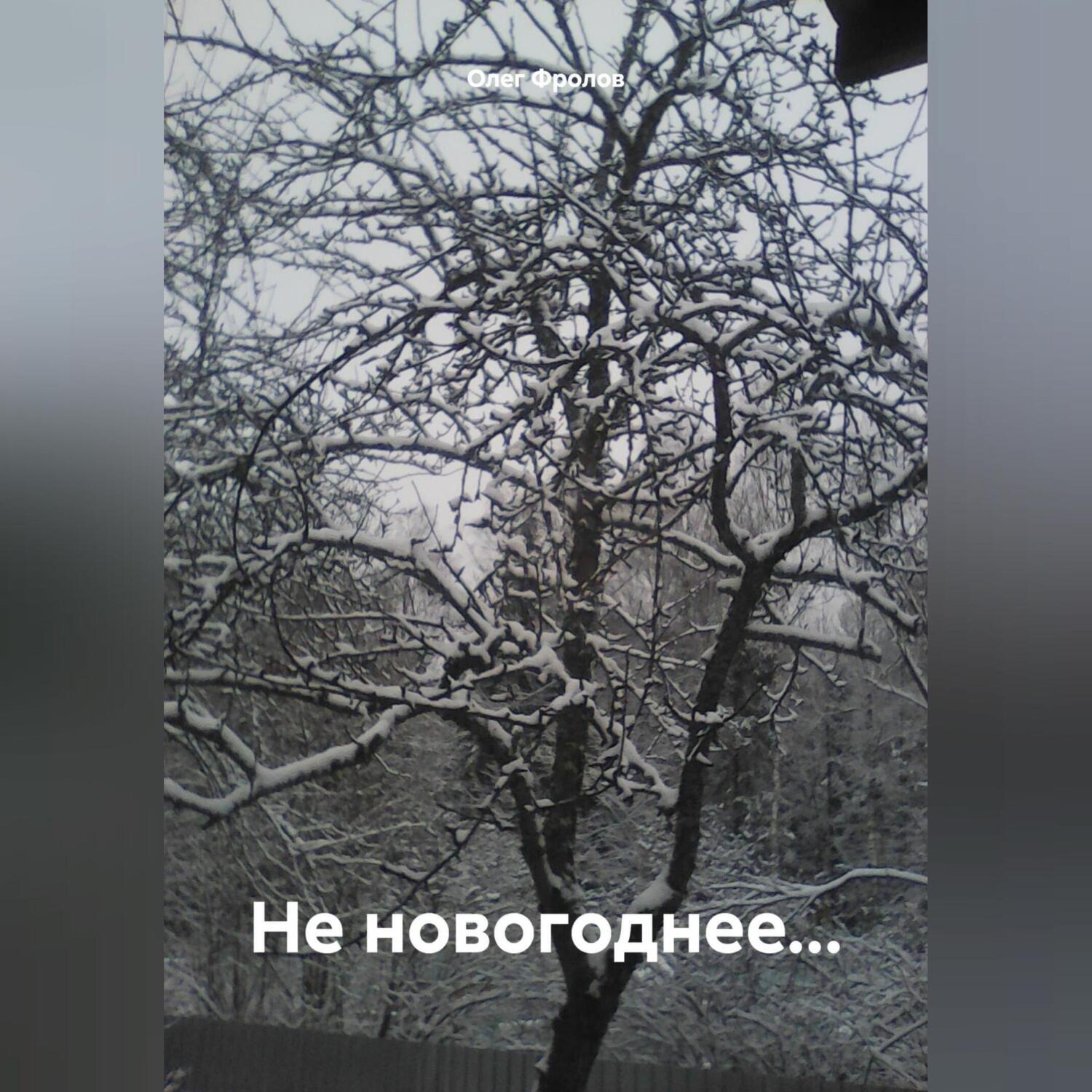 Обложка книги «Не новогоднее…»