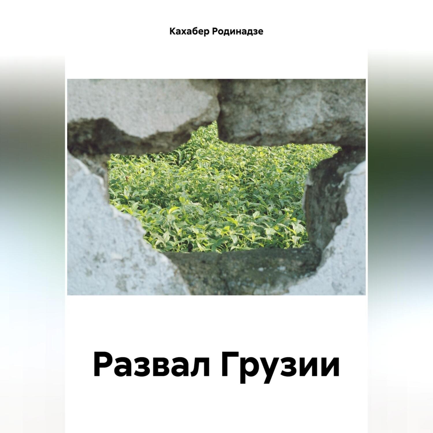 Обложка книги «Развал Грузии»