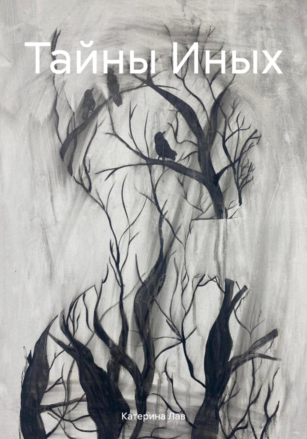 Обложка книги «Тайны Иных»