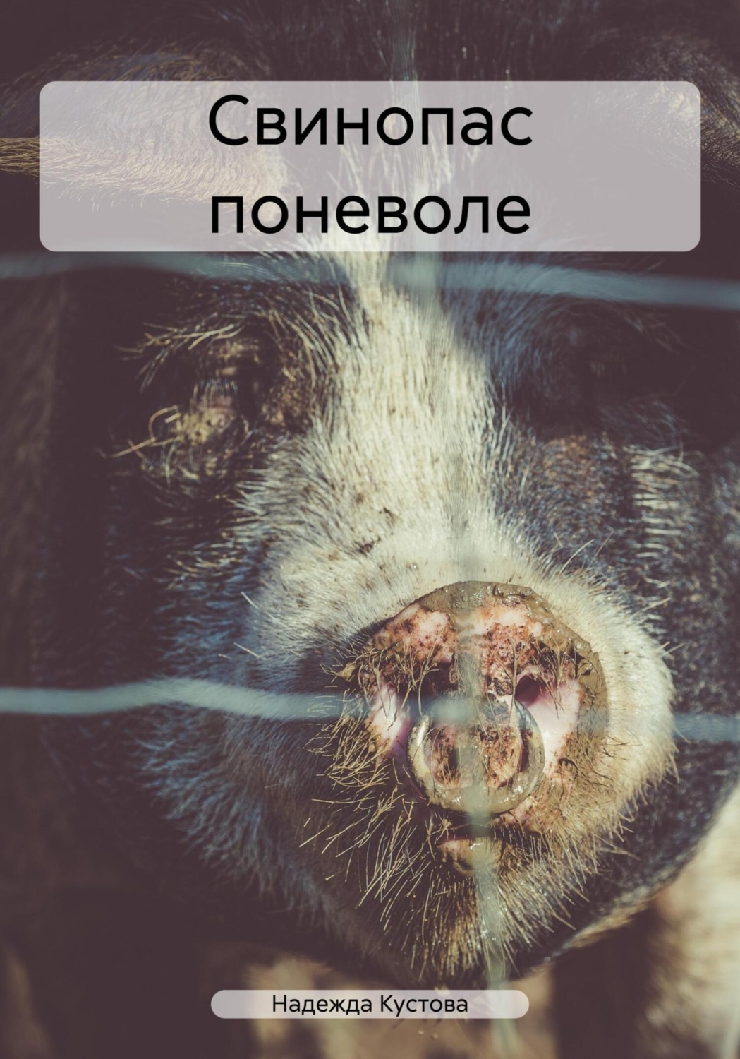 Обложка книги «Свинопас поневоле»