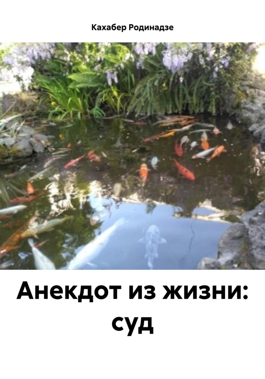 Обложка книги «Анекдот из жизни: суд»