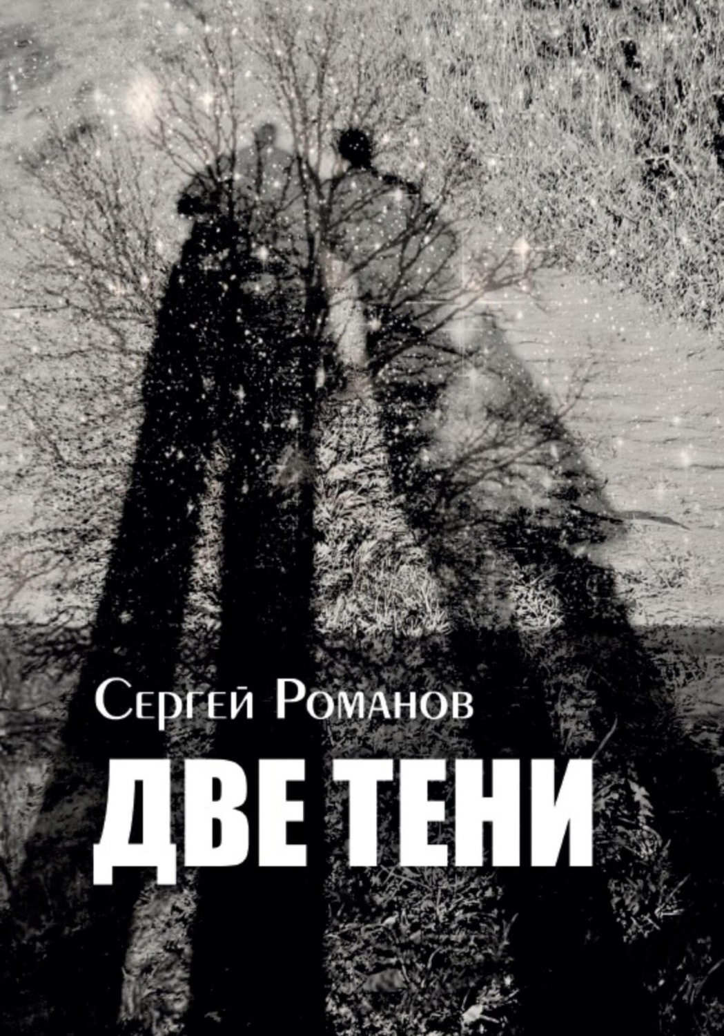 Обложка книги «Две тени»