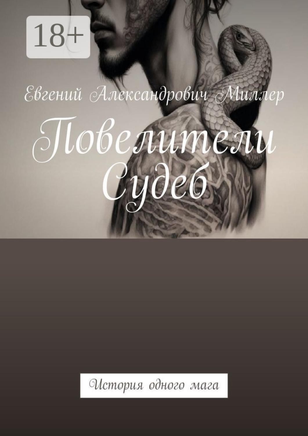 Обложка книги «Повелители Судеб. История одного мага»
