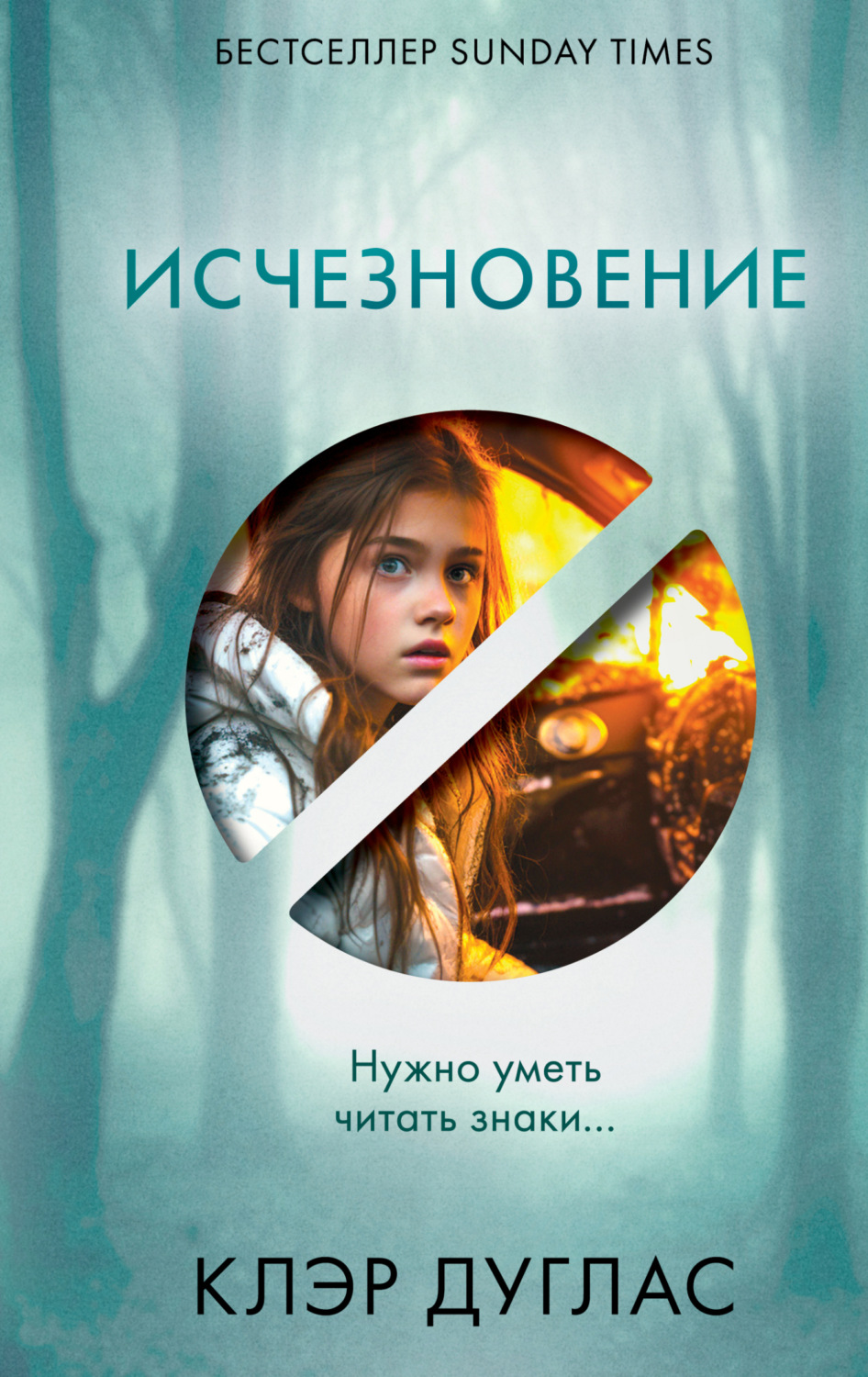 Обложка книги «Исчезновение»