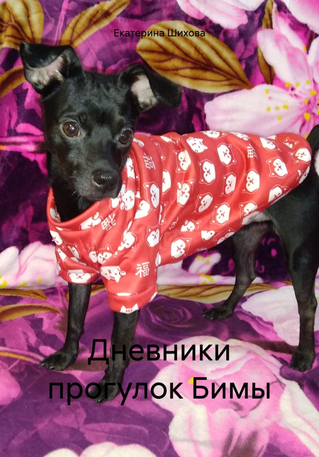 Обложка книги «Дневники прогулок Бимы»