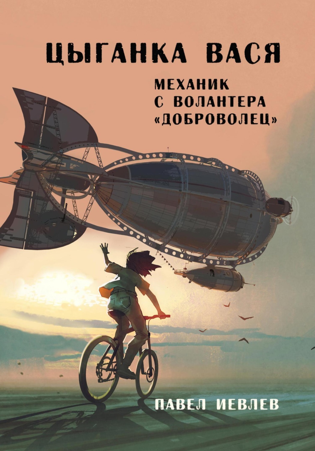 Обложка книги «Цыганка Вася, механик с волантера «Доброволец»»