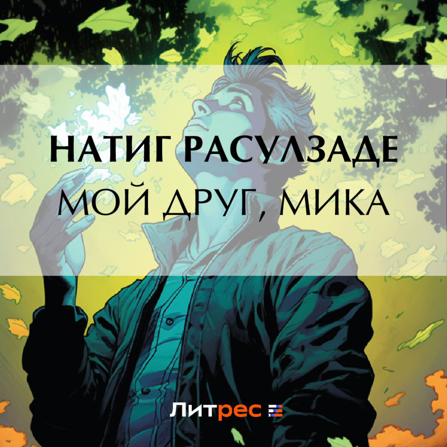 Обложка книги «Мой друг, Мика»