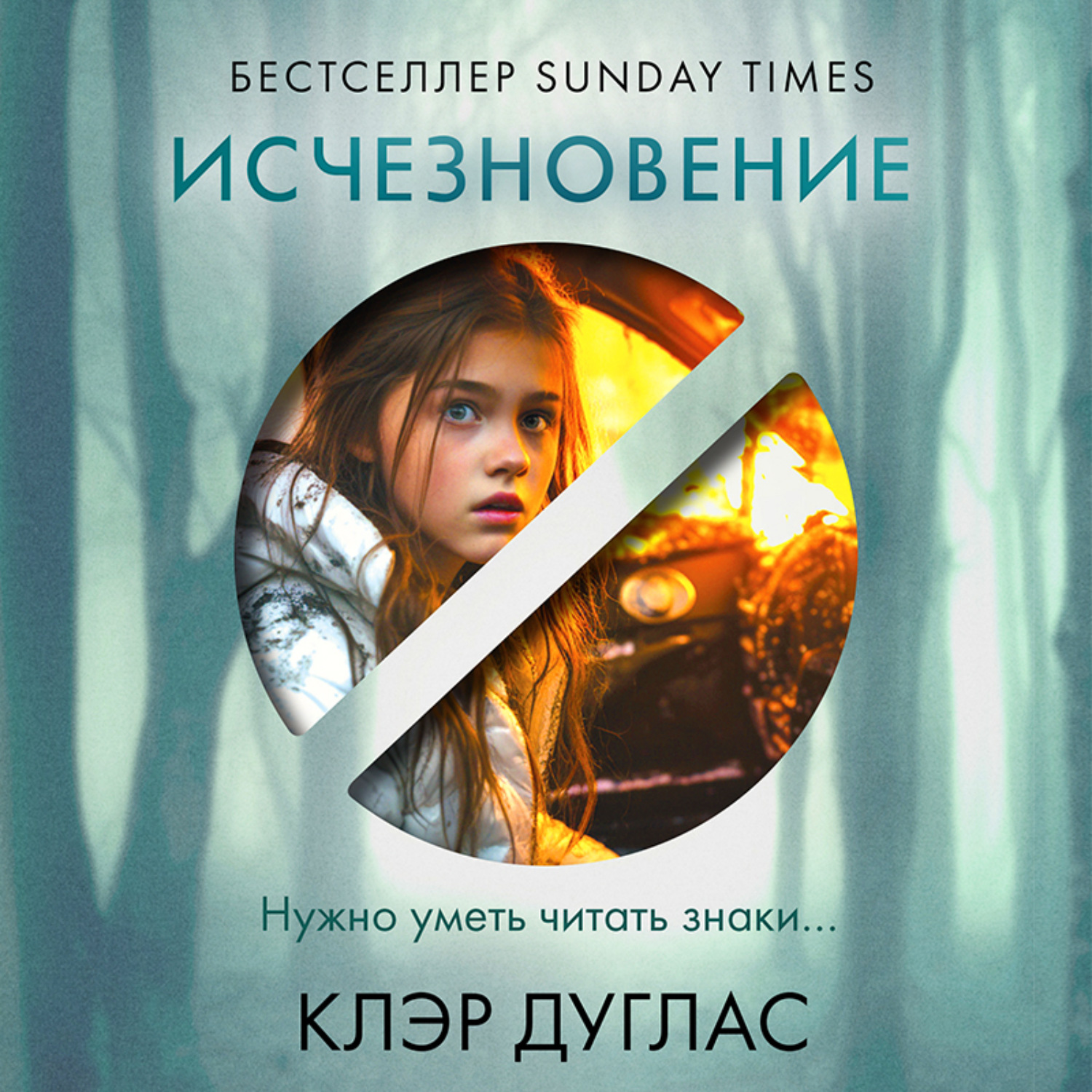 Обложка книги «Исчезновение»