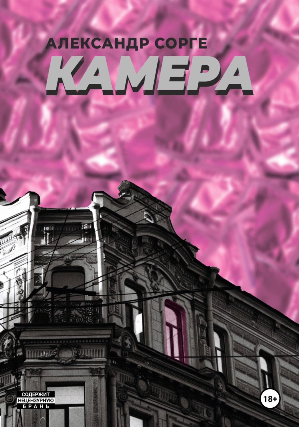 Обложка книги «Камера»