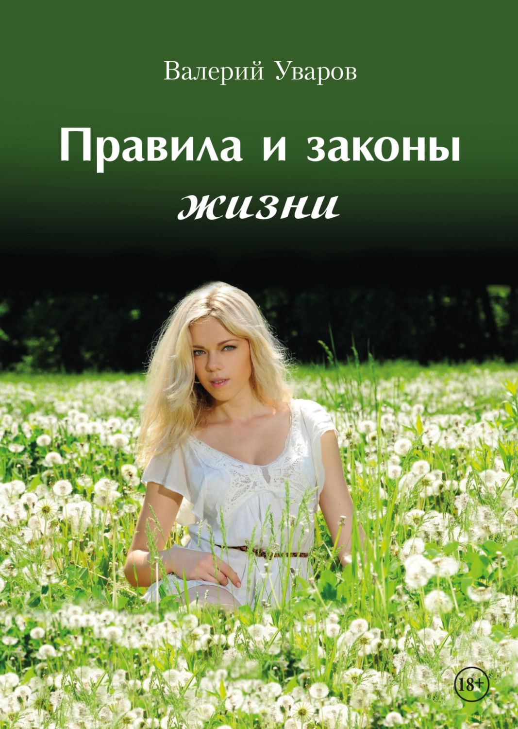 Обложка книги «Правила и законы жизни»