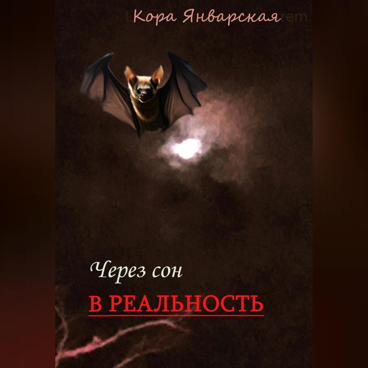 Обложка книги «Через сон в реальность»
