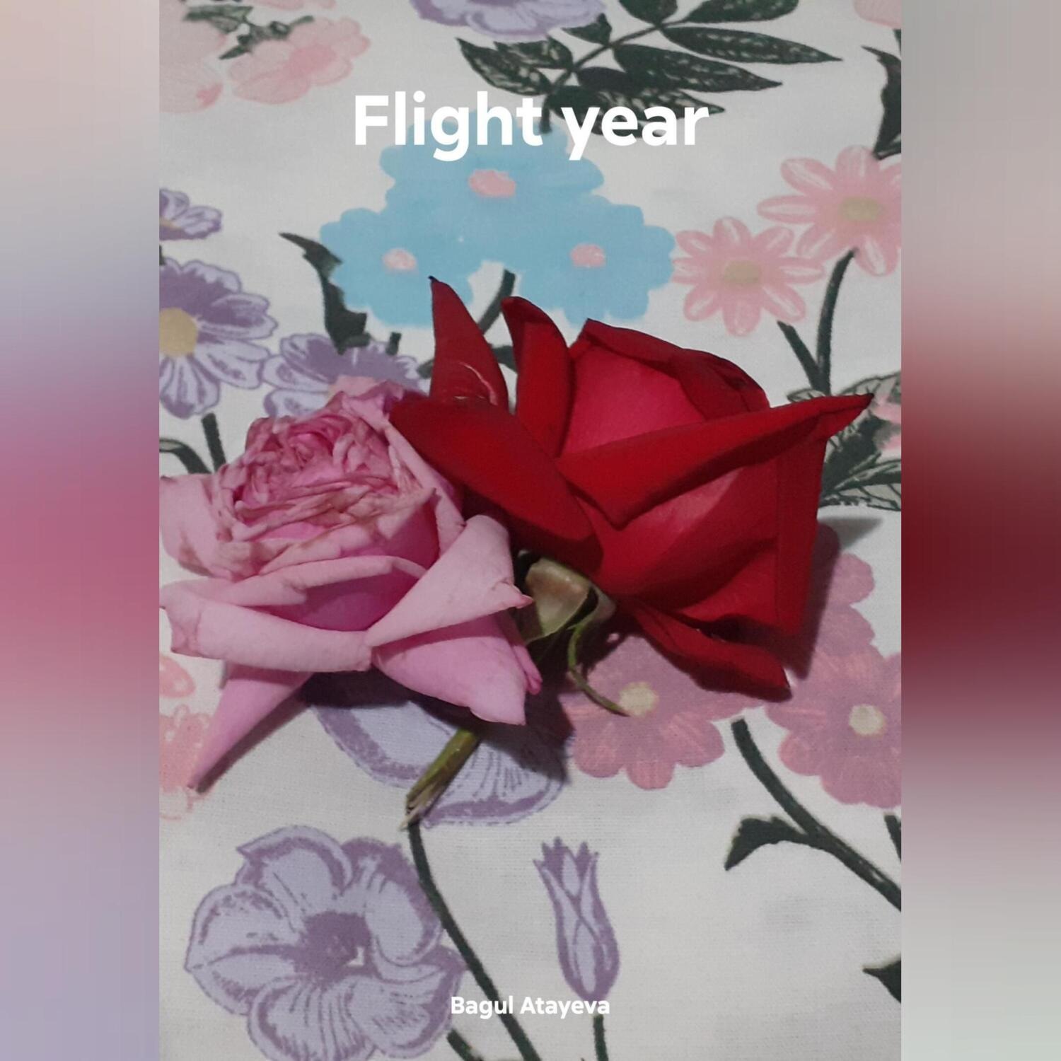 Обложка книги «Flight year»