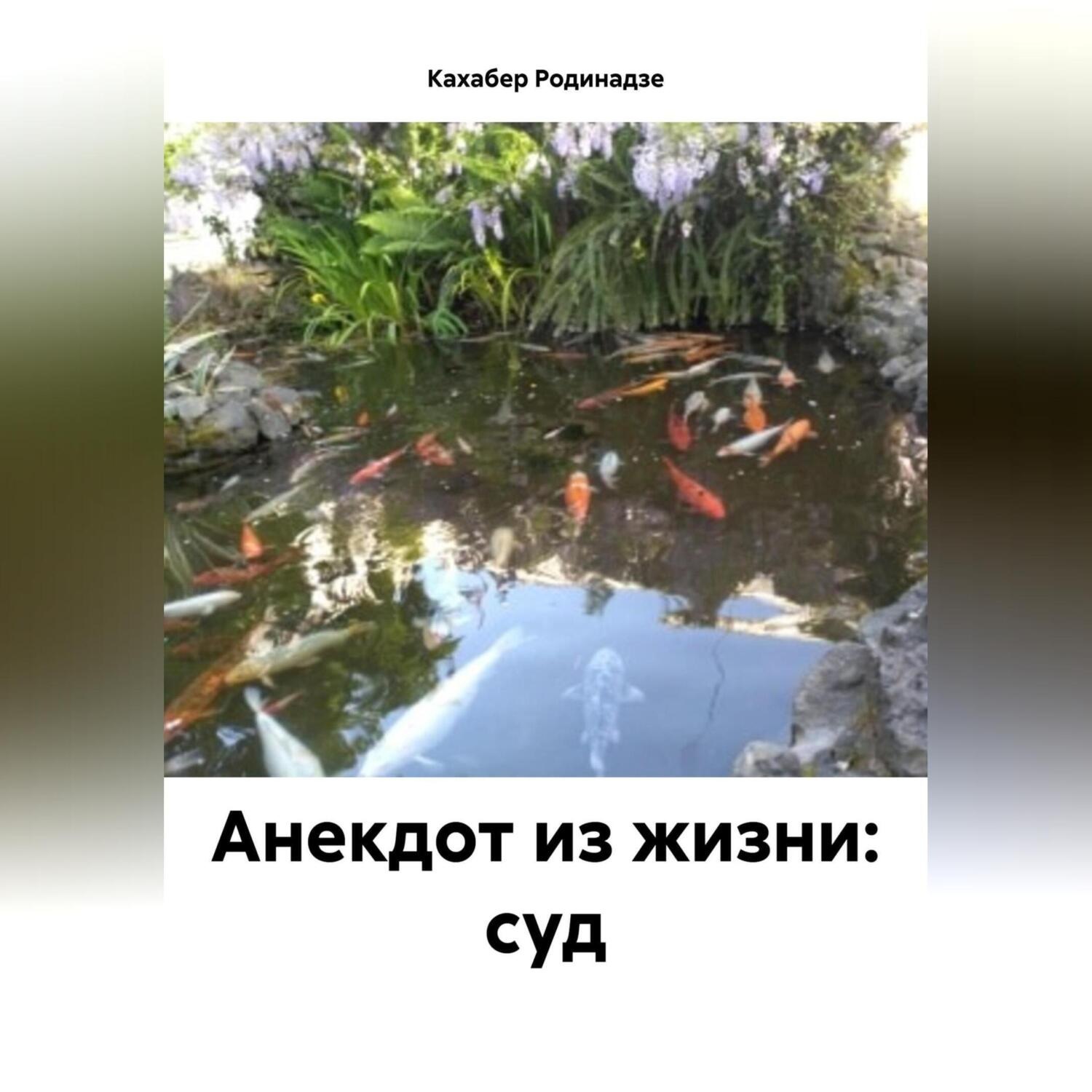Обложка книги «Анекдот из жизни: суд»