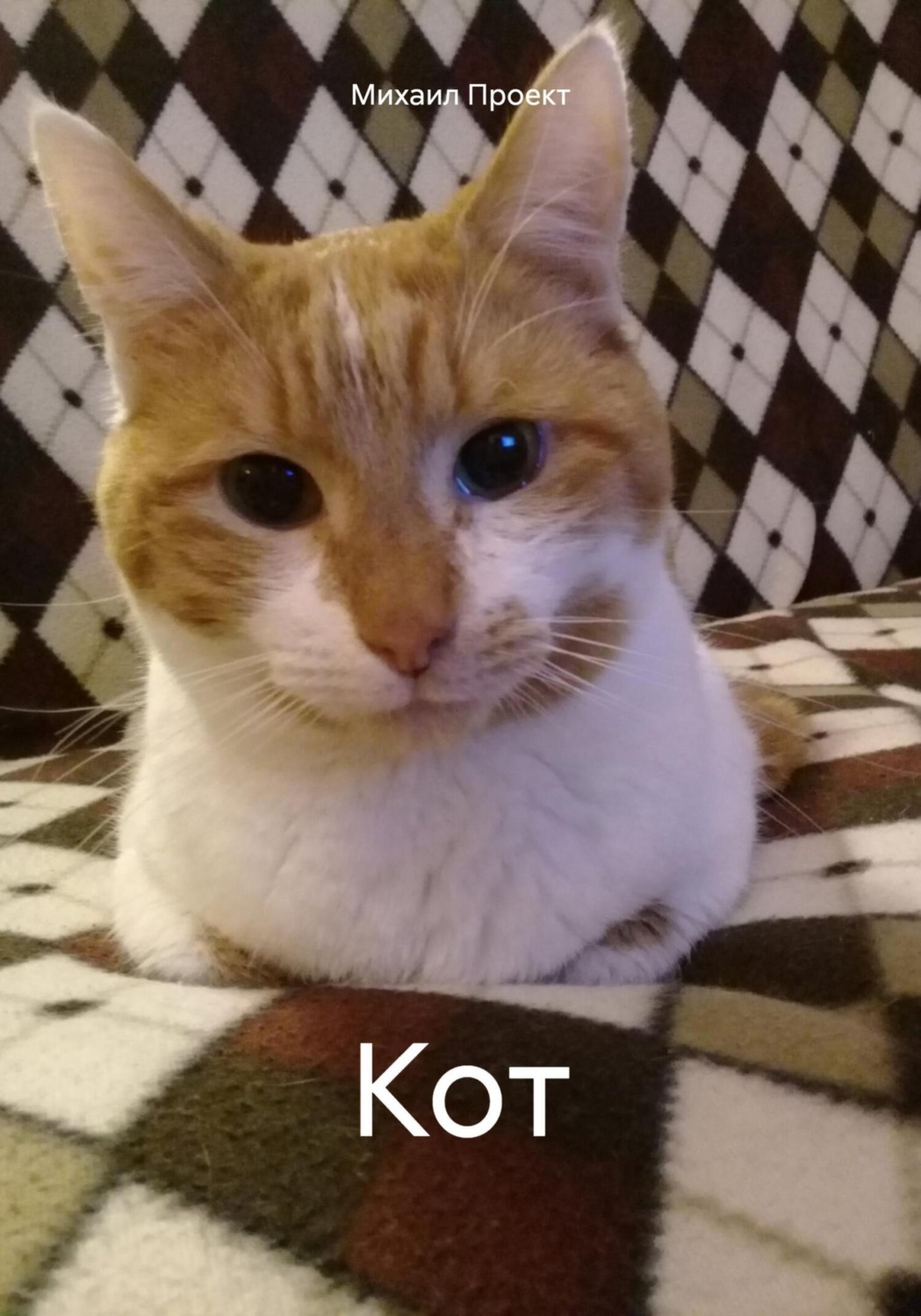 Обложка книги «Кот»
