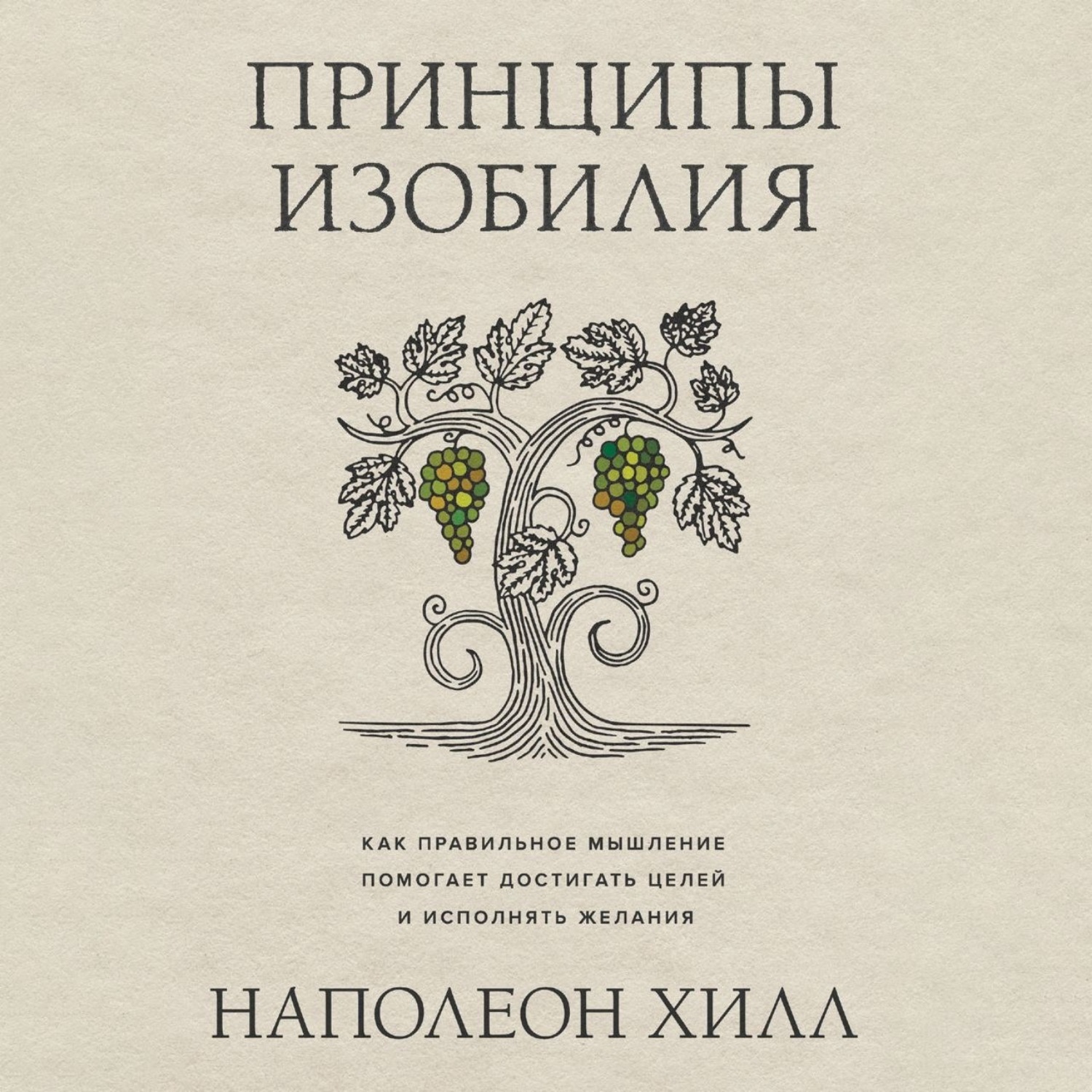 Обложка книги «Принципы изобилия. Как правильное мышление помогает достигать целей и исполнять желания»