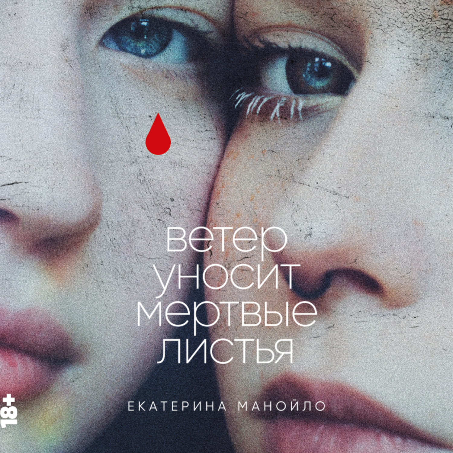 Обложка книги «Ветер уносит мертвые листья»