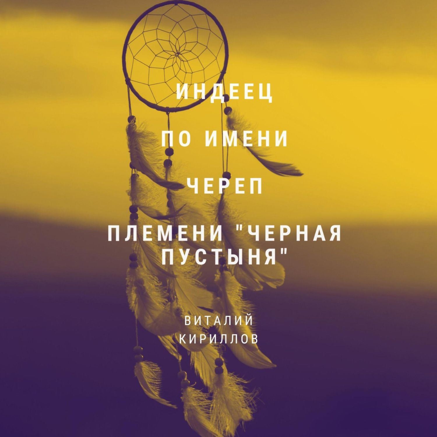 Обложка книги «Индеец по имени Череп племени Черная пустыня»