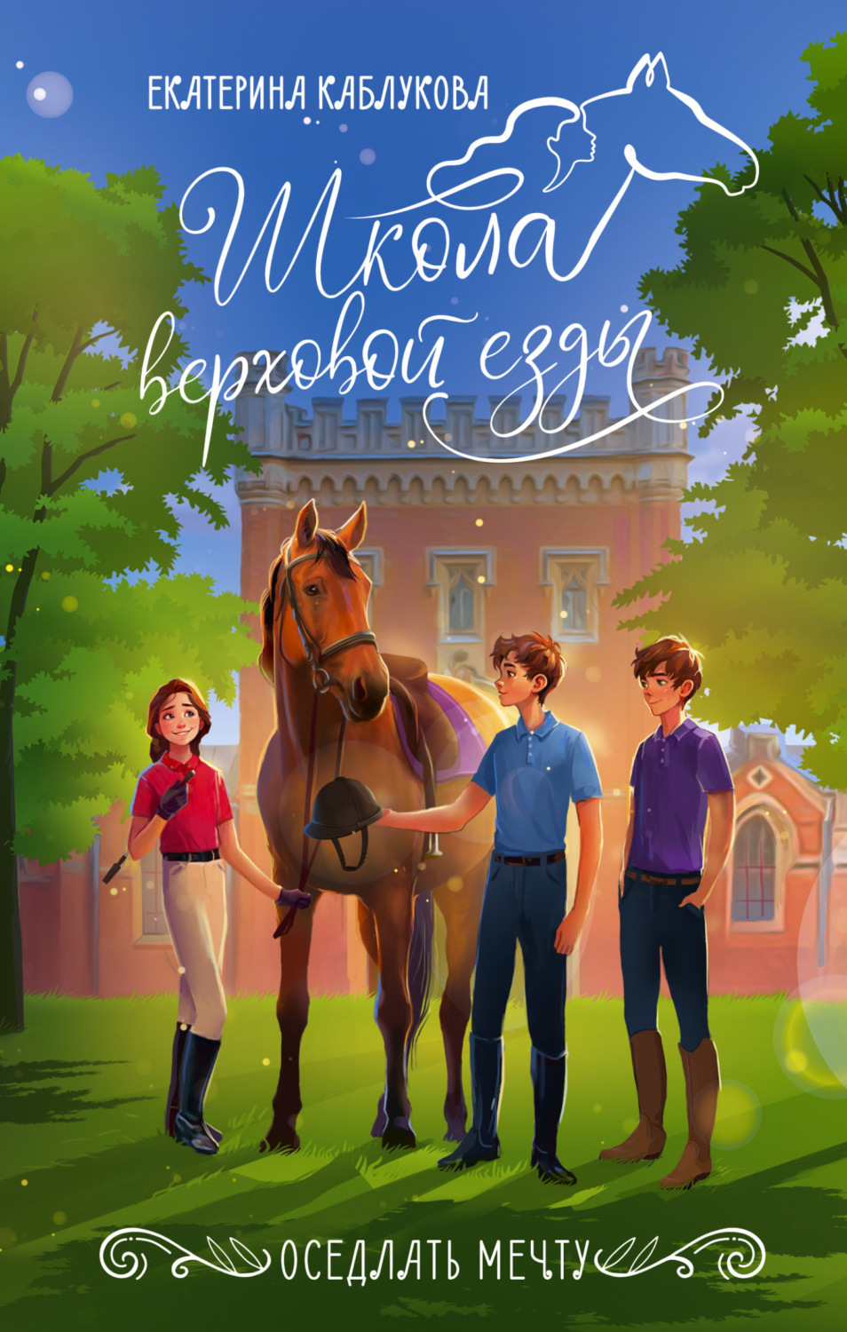 Обложка книги «Оседлать мечту»
