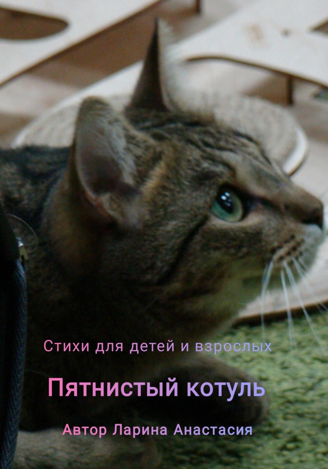 Обложка книги «Пятнистый котуль. Стихи для детей и взрослых»