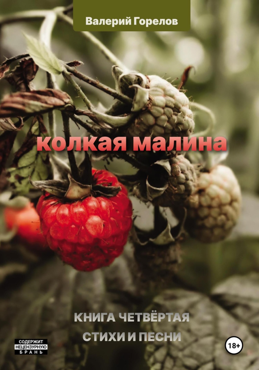 Обложка книги «Колкая малина. Книга четвёртая»