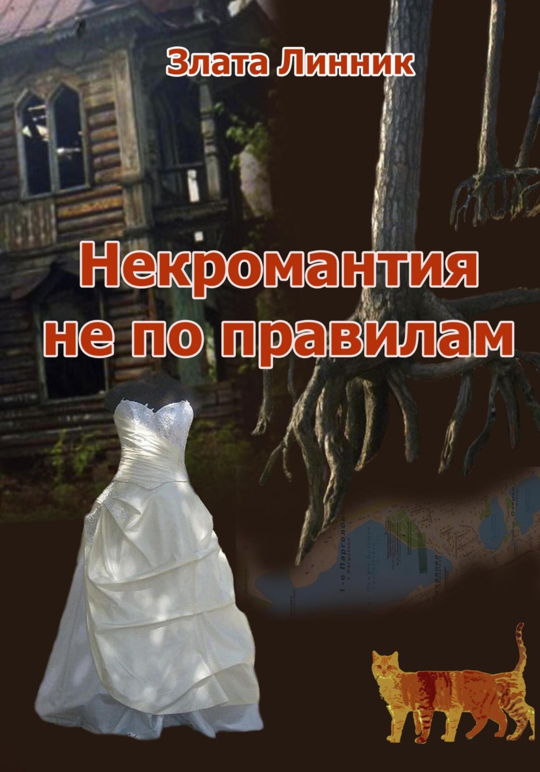 Обложка книги «Некромантия не по правилам»