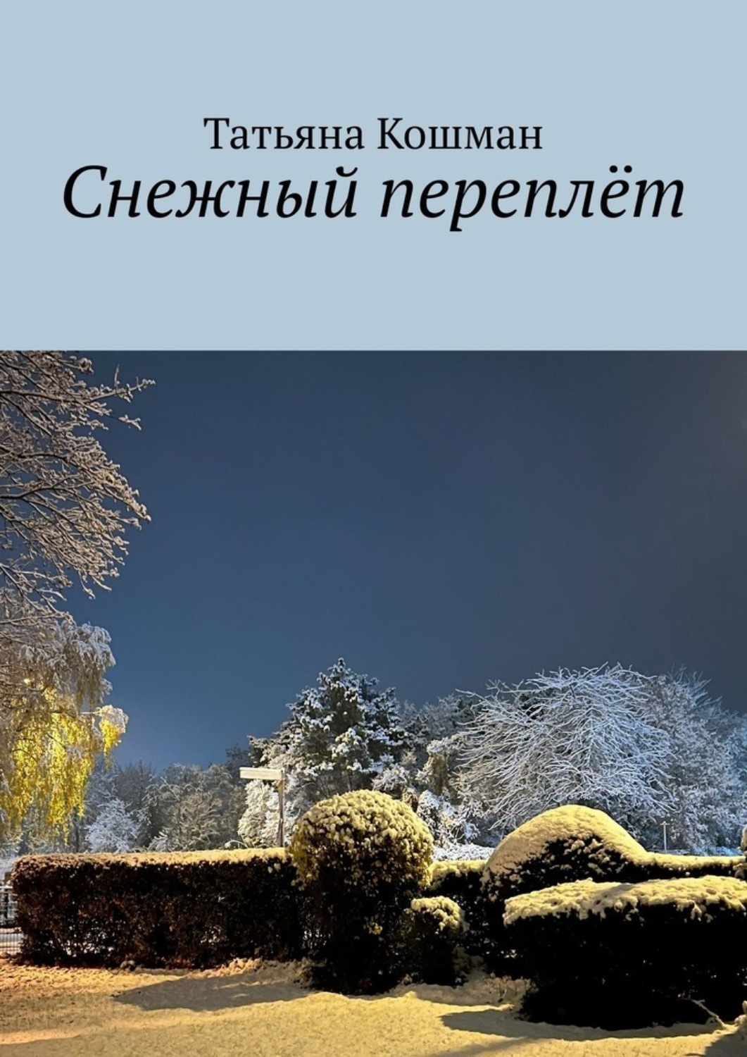 Обложка книги «Снежный переплёт»