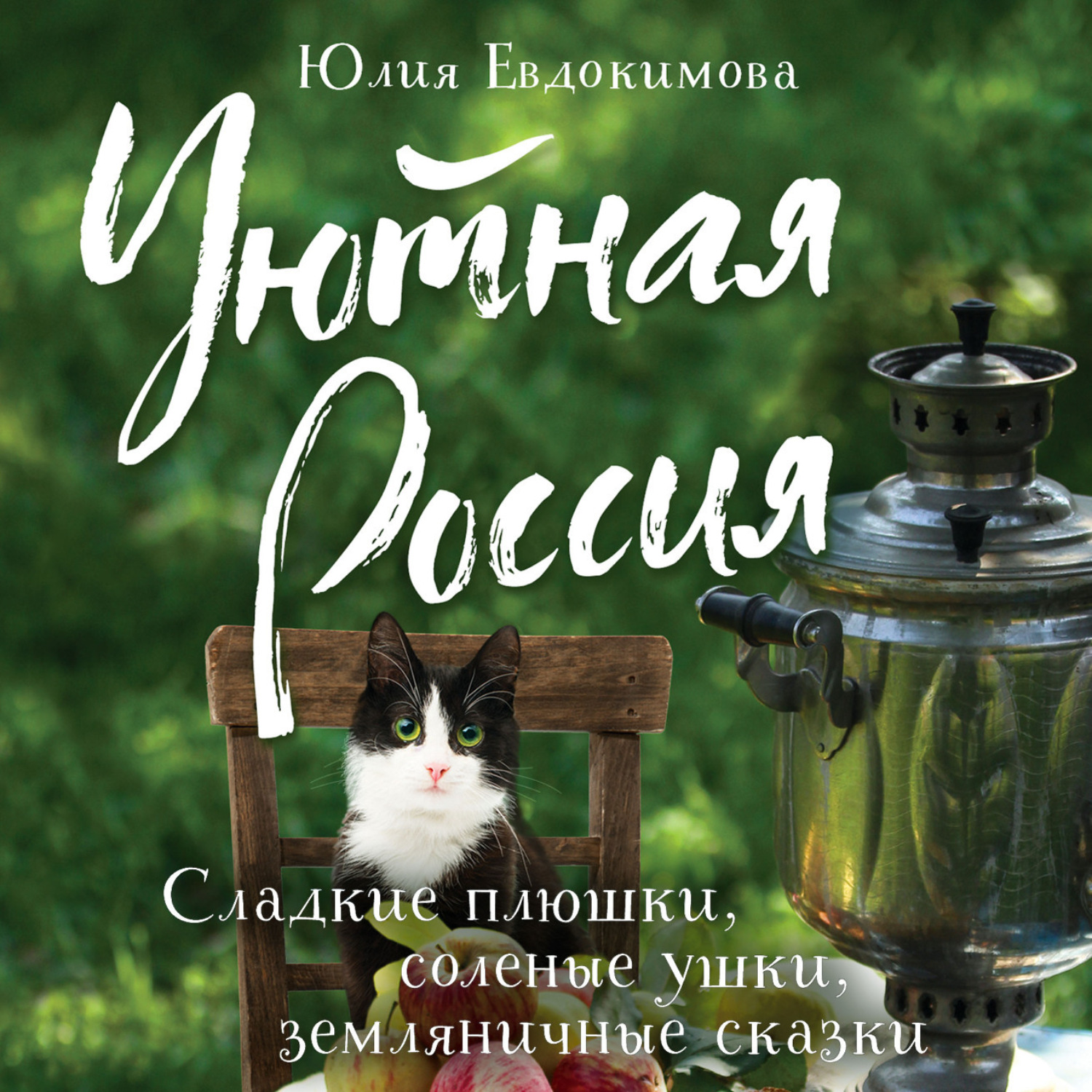 Обложка книги «Уютная Россия. Сладкие плюшки, соленые ушки, земляничные сказки»
