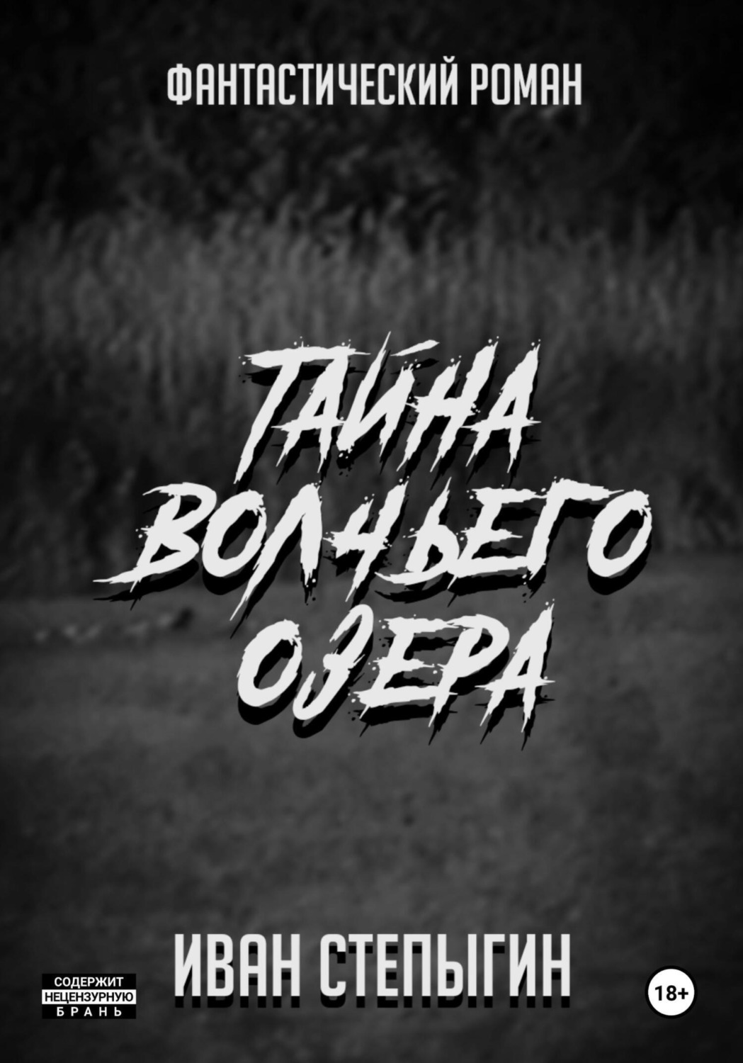 Обложка книги «Тайна Волчьего озера»