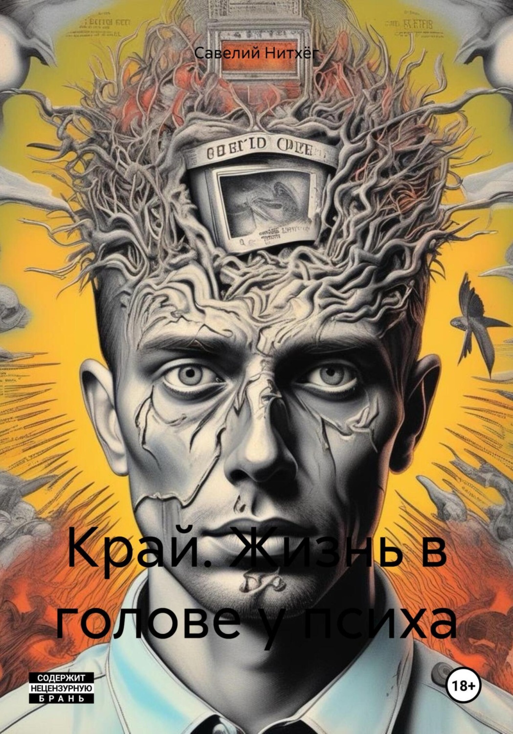 Обложка книги «Край. Жизнь в голове у психа»