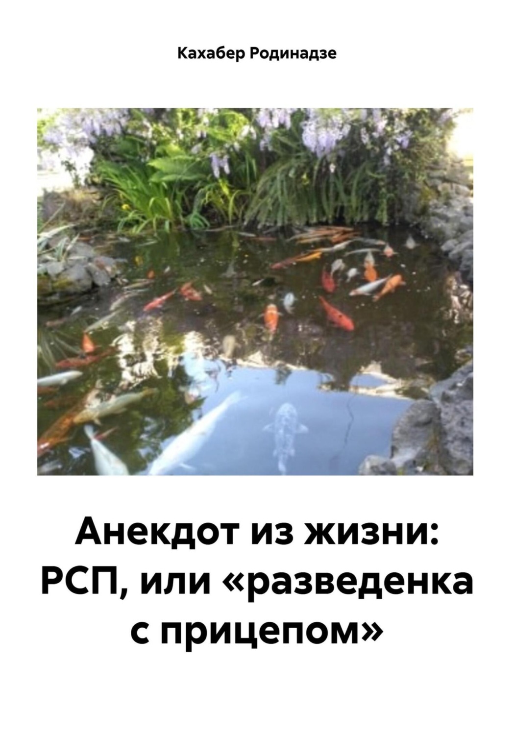 Обложка книги «Анекдот из жизни: РСП, или «разведенка с прицепом»»