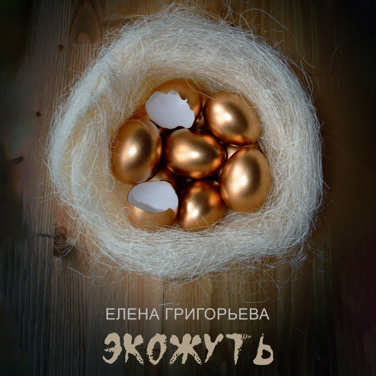 Обложка книги «Экожуть»